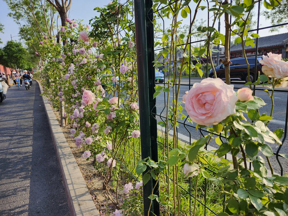 満濃池 tweet media
