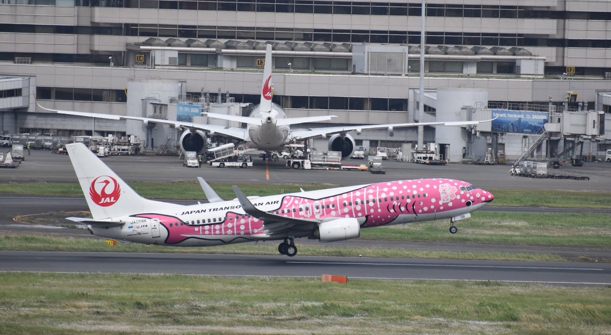 Gerardi Aviation tweet media