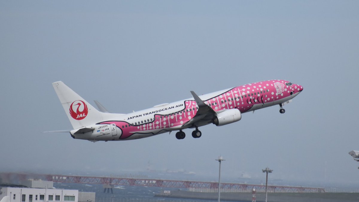 Gerardi Aviation tweet media