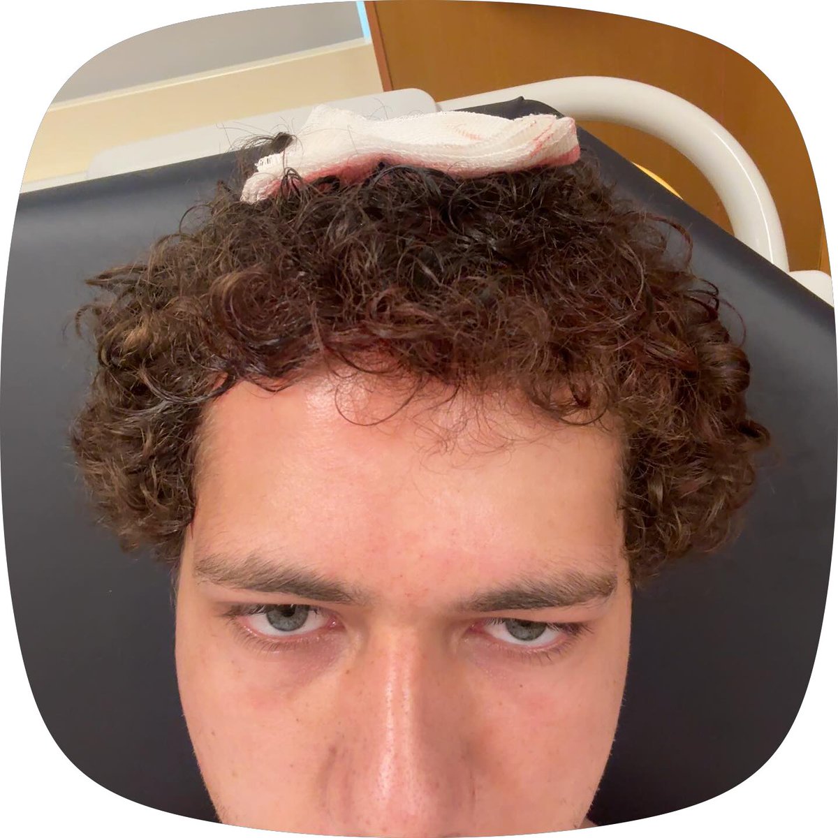 313 Fuzz tweet media
