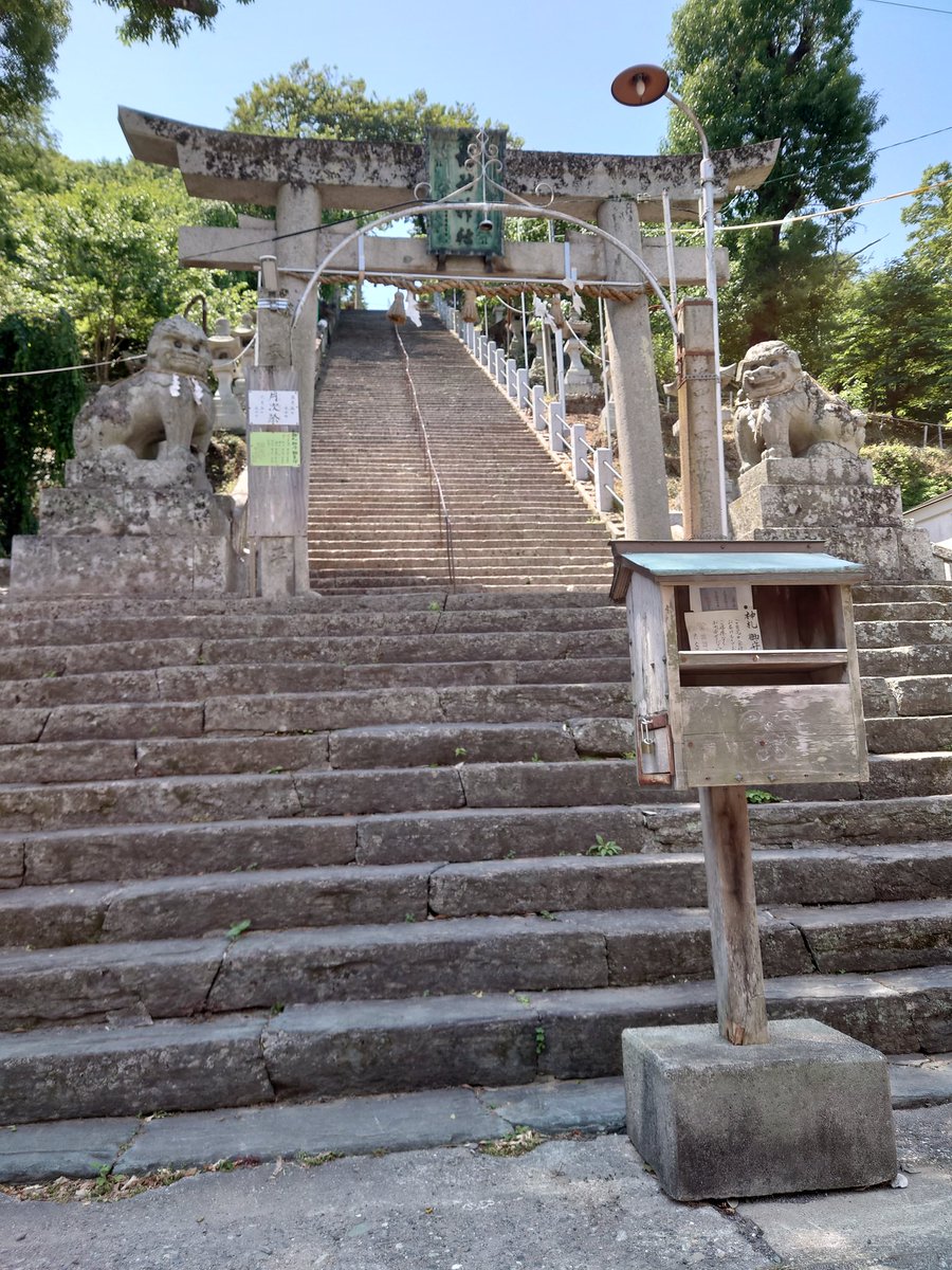 虚嘘 tweet media