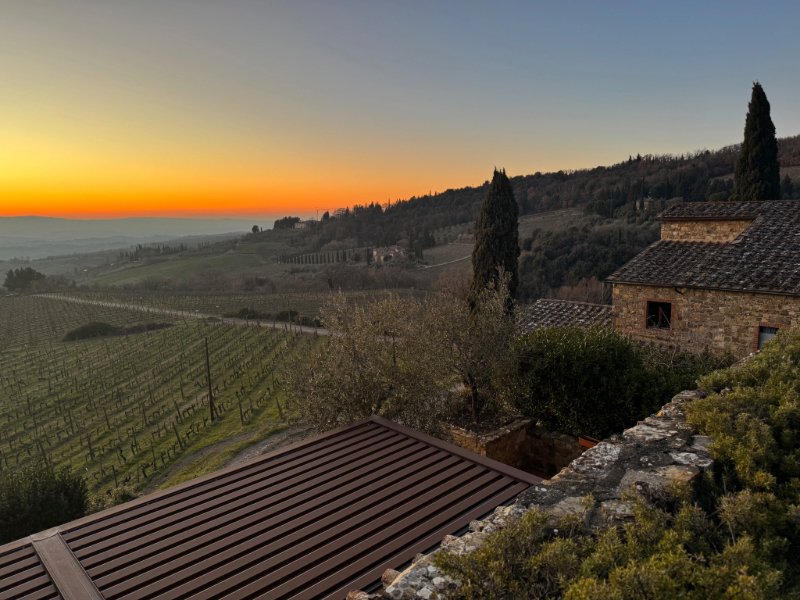 WineReviewOnline.com tweet media