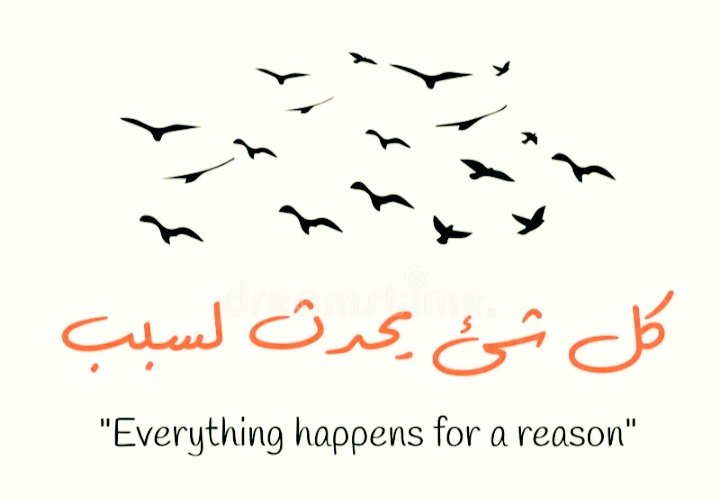 (( عــبــود )) tweet media