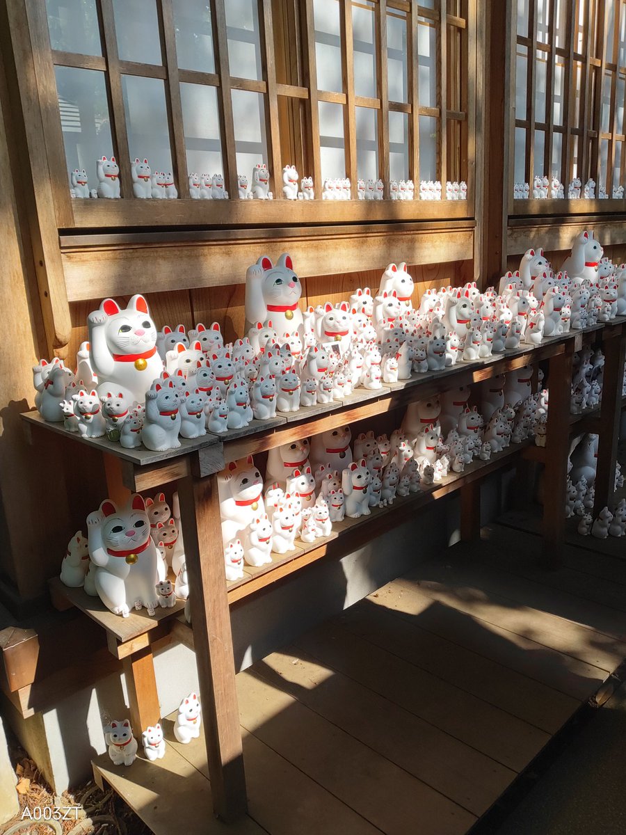 Grace18202077's tweet photo. その後、世田谷線に乗って豪徳寺まで足を伸ばしてみました!猫三昧の一日でした～👍✨ https://t.co/Y4i2uPX9zv