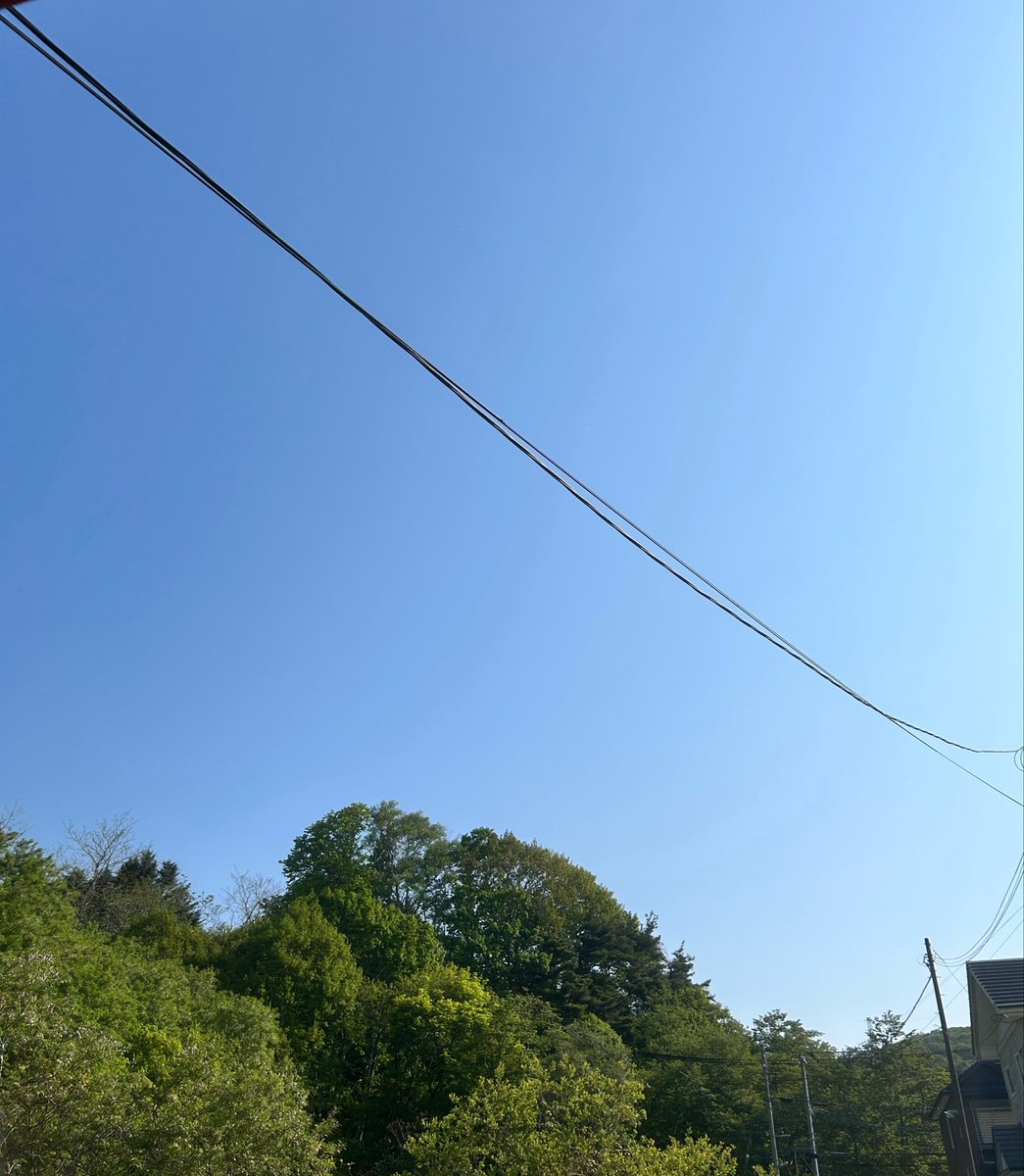 みどまる tweet media