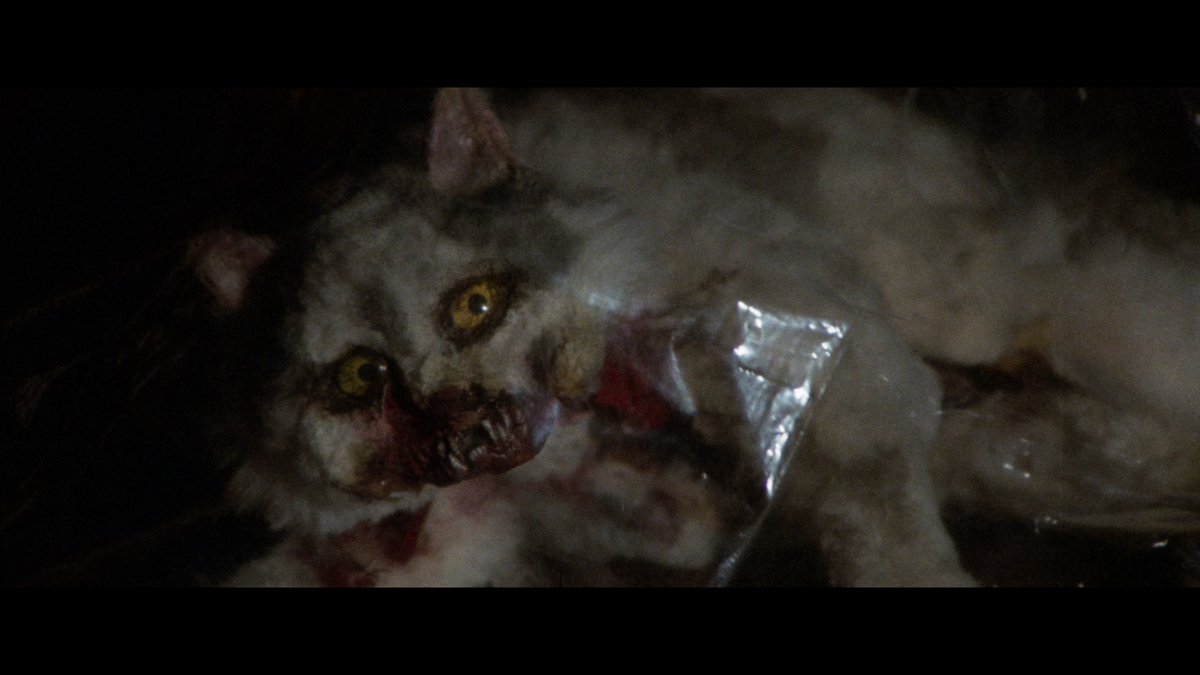 Chatrickkk's tweet photo. Four Flies on Grey Velvet(4 mosche di velluto grigio) Director's Cut, 1971
Dario Argento

4k Blu-ray Remux 66.91Gb (Audio Italian, English. Subs English, Portuguese)

1080p Blu-ray x265 9.09Gb (Audio Italian, English. Subs English, Portuguese) https://t.co/eygwdjxwGG