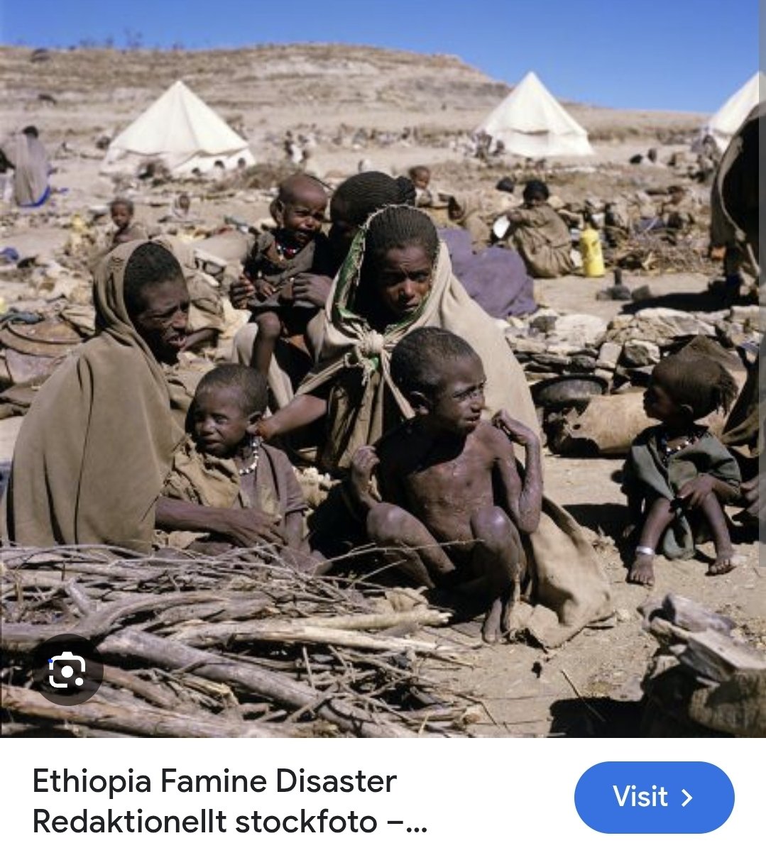 iskinder berhane tweet media