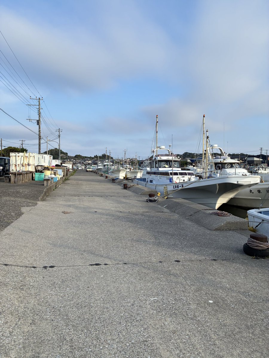 oharasketch's tweet photo. ▼当日の情報
スタッフから当日の情報や現地写真をお届けするので、現地到着後は、ぜひ、本Twitterアカウントフォローを。

トイレや食事場所の案内や宿のご案内も当日まで受け付けます。ほか、以下のホームページをご覧の上、不明なことあればDMでお問い合わせください。
https://t.co/J9z39St8vA https://t.co/QlDE2FOQ5u