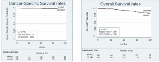 urotoday's tweet photo. Long-term oncological outcomes of extended vs limited pelvic lymph node dissection during radical prostatectomy for intermediate- and high-risk #ProstateCancer: Phase 3 randomized controlled trial. Presentation by Jean Felipe Lestingi, MD @Icesp_. #AUA26 written coverage by @zklaassen_md @GACancerCenter > https://t.co/iEBPNH8Tnq @AmerUrological #AUA2026