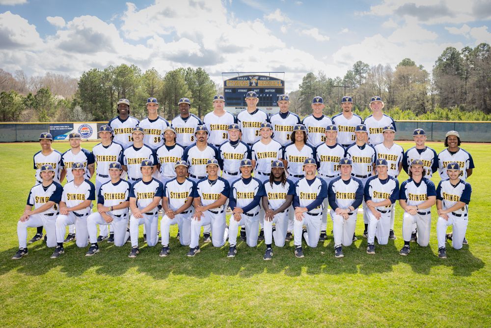 Flo-Dar Tech Stingers Baseball tweet media