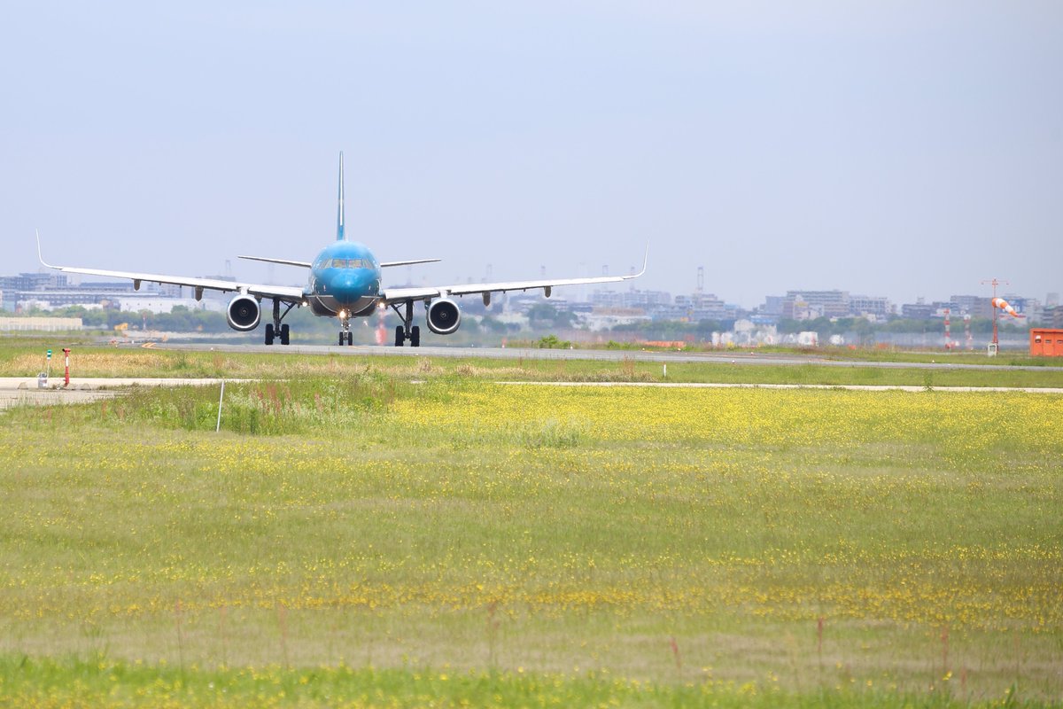 あたり前田 tweet media