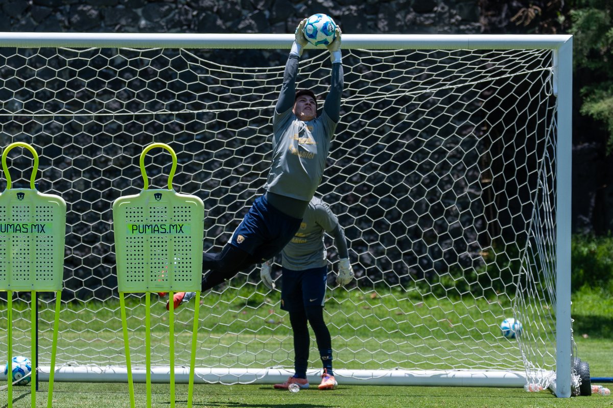 PUMAS tweet media