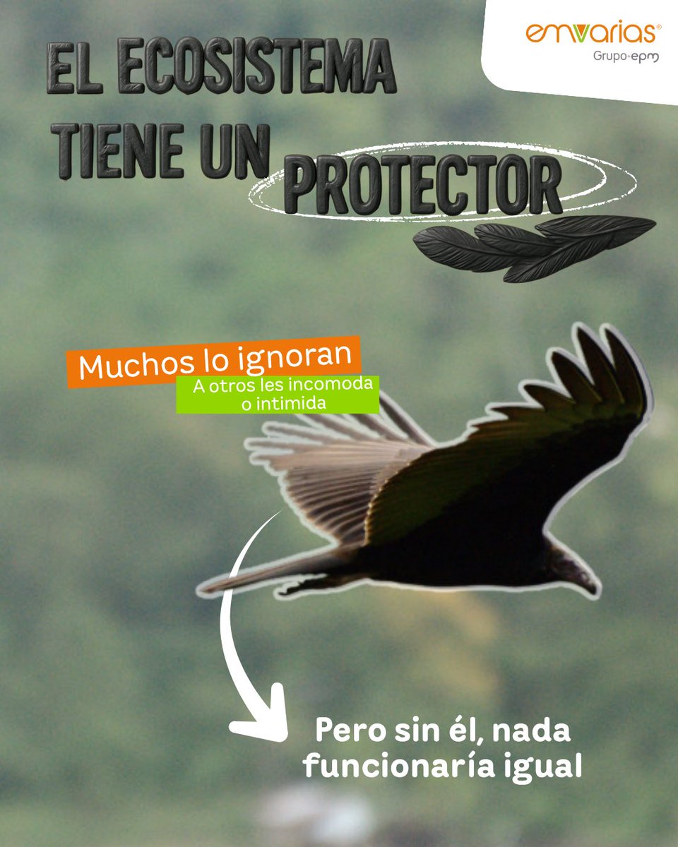 Emvarias Grupo EPM tweet media