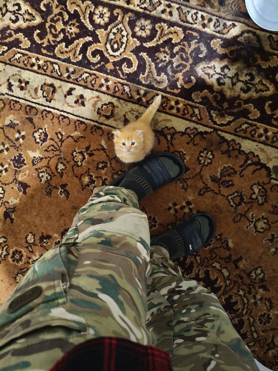 Дизігнер в ДШВ tweet media