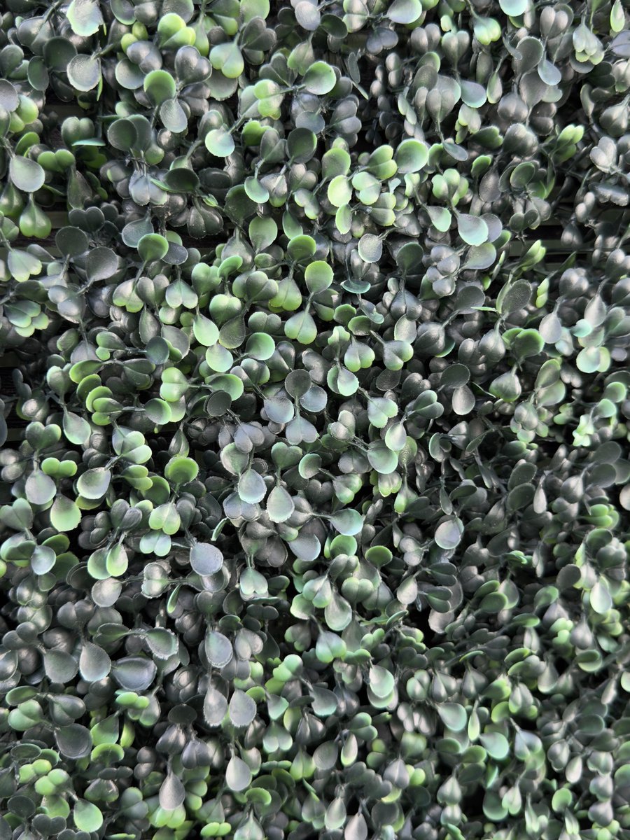 ArtificialTurf_'s tweet photo. No green thumb required 🌱

ATS artificial foliage brings lush, realistic greenery indoors or out with boxwood, sinica, and gardenia options designed to look fresh and stay vibrant year-round.

No watering. No trimming. Just effortless style. 💚 https://t.co/uYIoPojXqC https://t.co/k6fElPfeTh