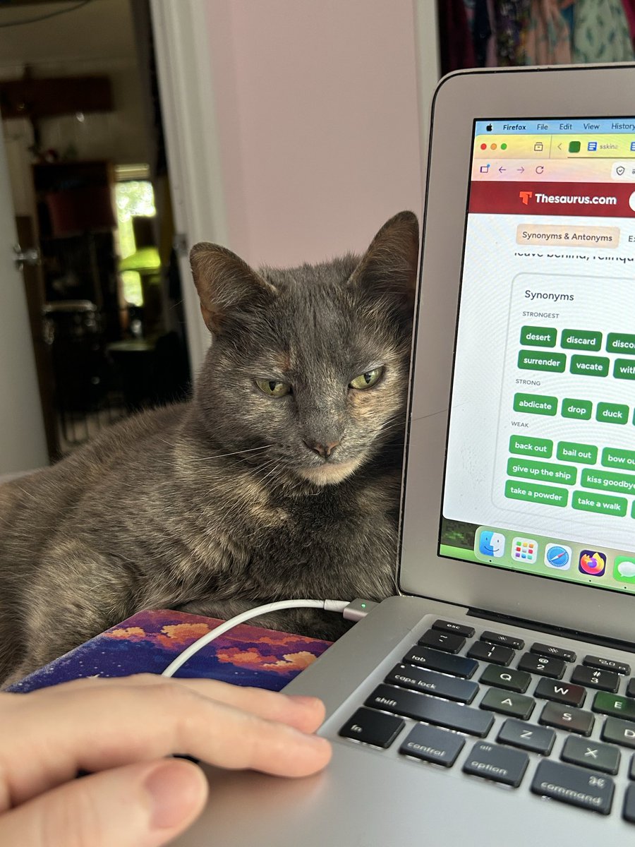 timeforwizards's tweet photo. baby hangs out with me in bed as I recover from surgery but is still pissed i won’t let her step on my abdomen yet https://t.co/Ab9vywzgj5
