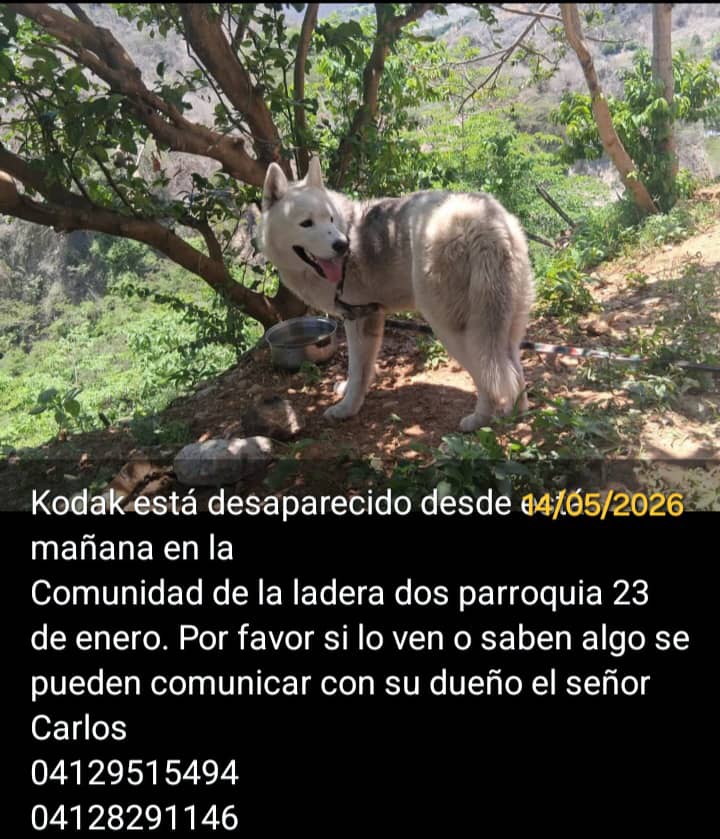 MUNDO ANIMAL INFINITO tweet media