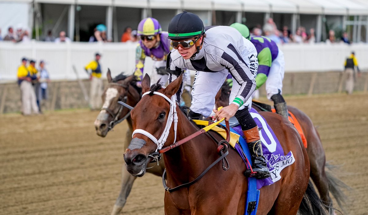 Preakness Stakes tweet media