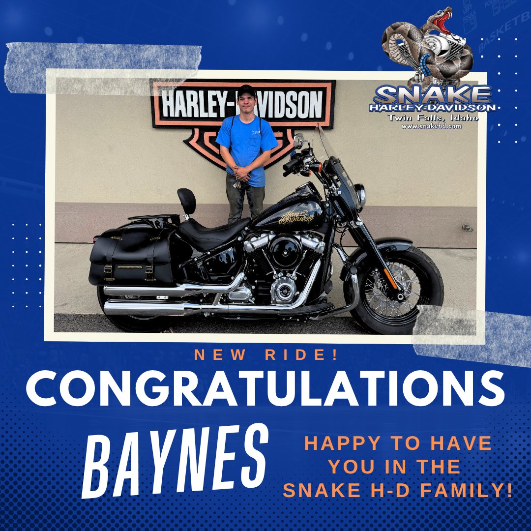 Snake H-D tweet media