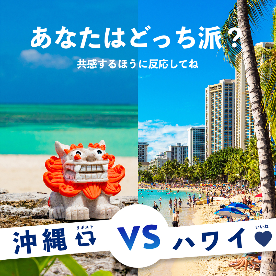 HIS【公式】 tweet media