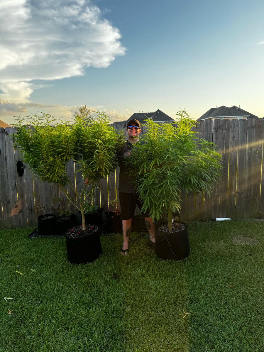 ElevatedMindTX's tweet photo. @Zkittles_420 I don’t just smoke it…. https://t.co/YG5Hl57e62