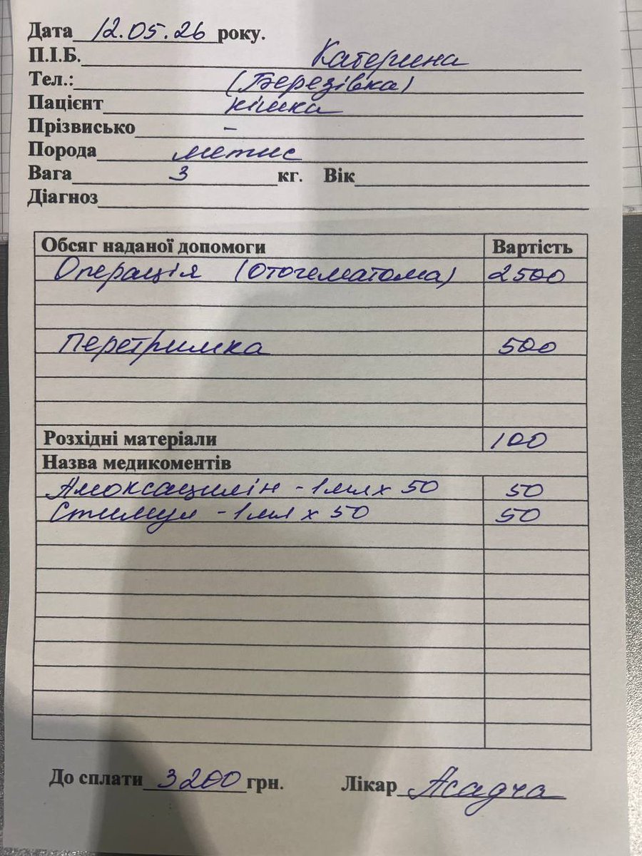 Ксюрик з Березівки (домашній прихисток 54 хвостам) tweet media