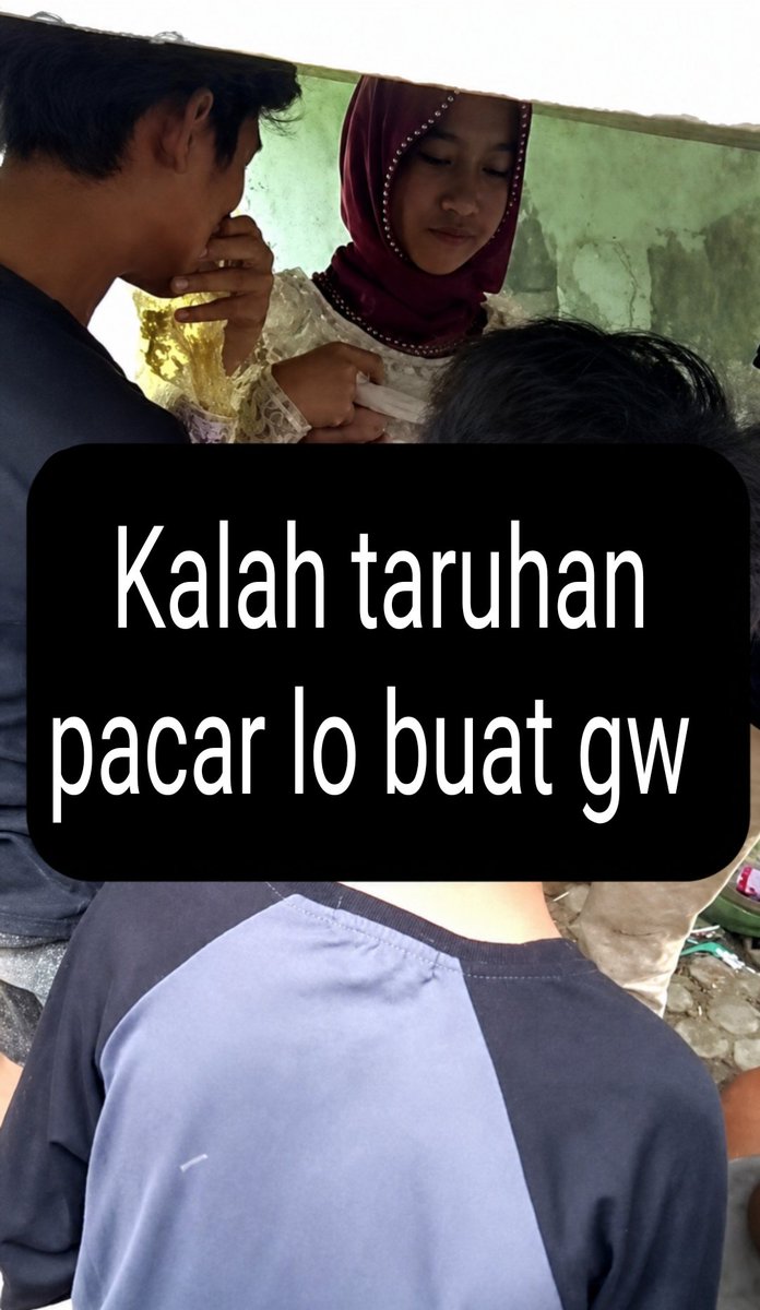 cohibi tweet media