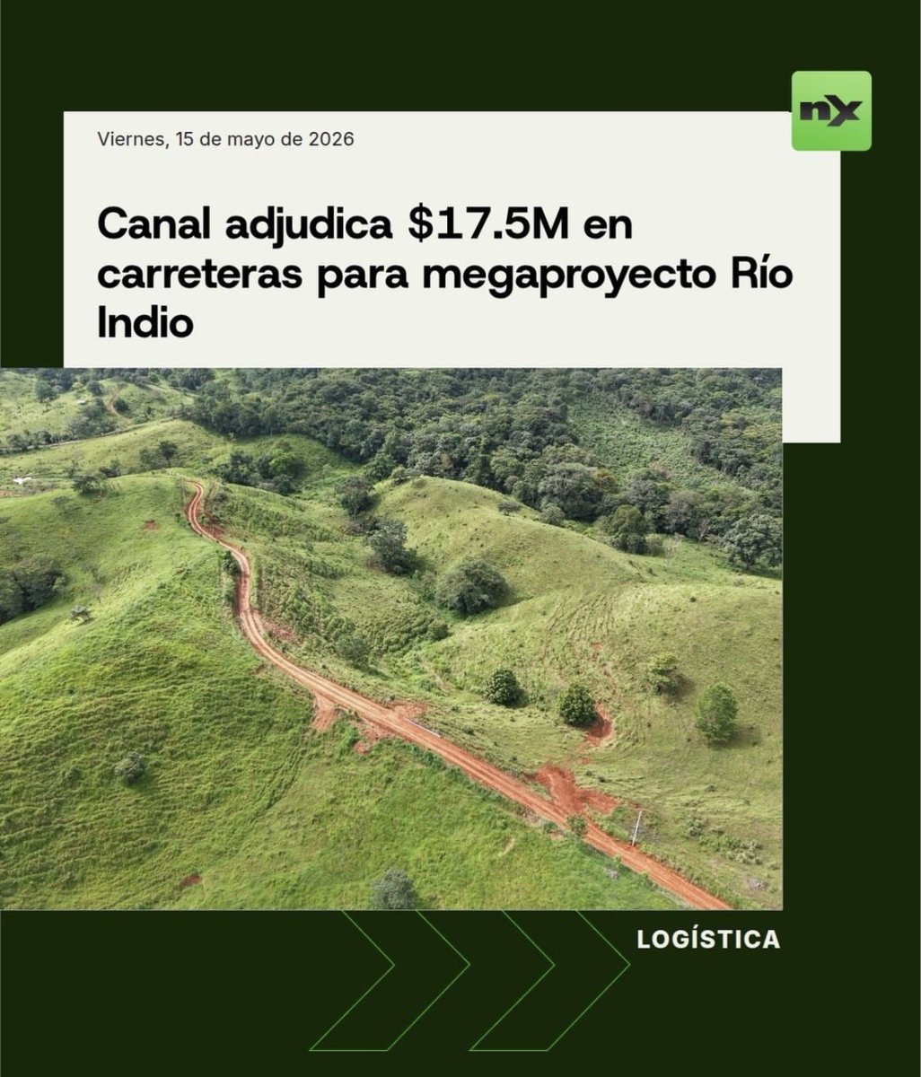 El Loro De Panamá Es Verde tweet media