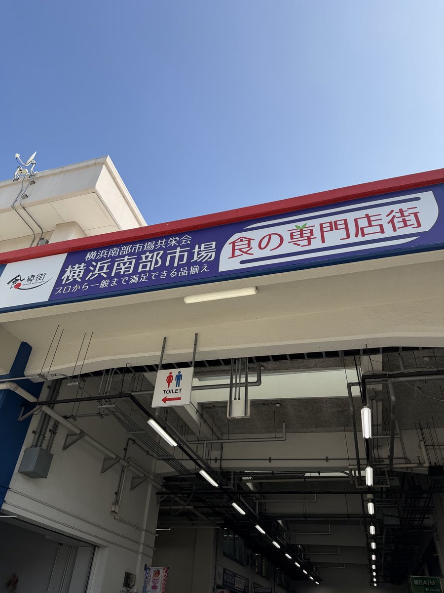 タロ tweet media