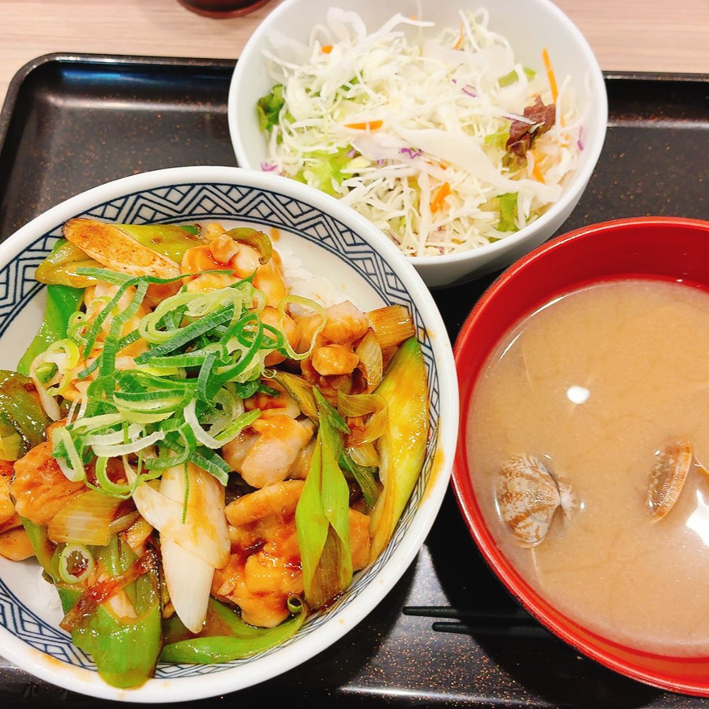 にゃんこと同居の海月 tweet media
