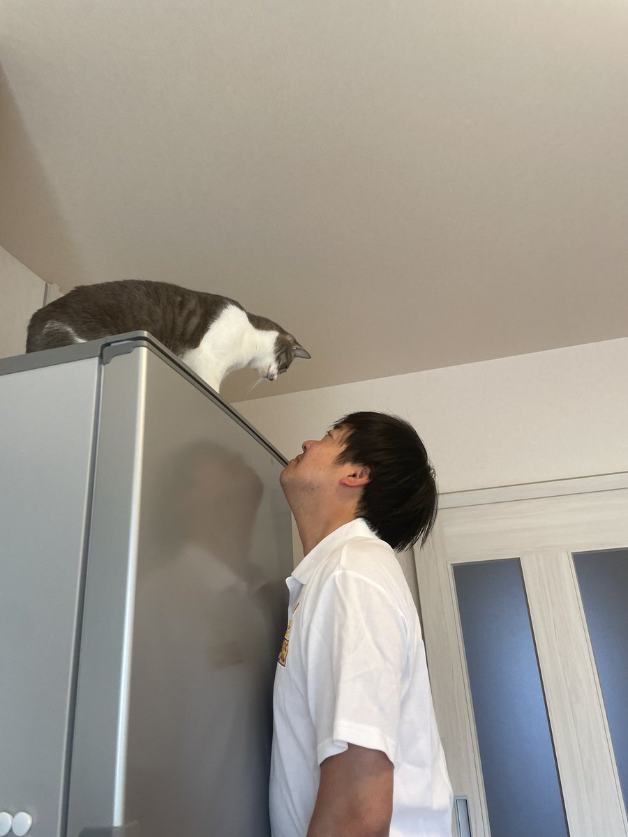 尾藤家の日常 tweet media