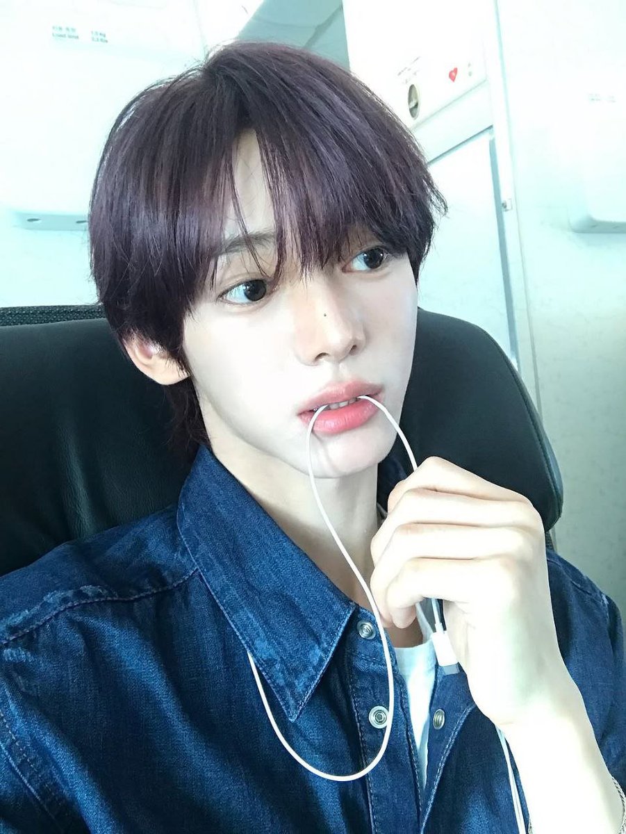 ⓘ TWS-O1O5-Zhen.zipˎˊ˗ 귀여운 토끼.ᐟ 𖹭 tweet media