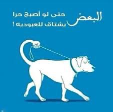 عبدالله tweet media