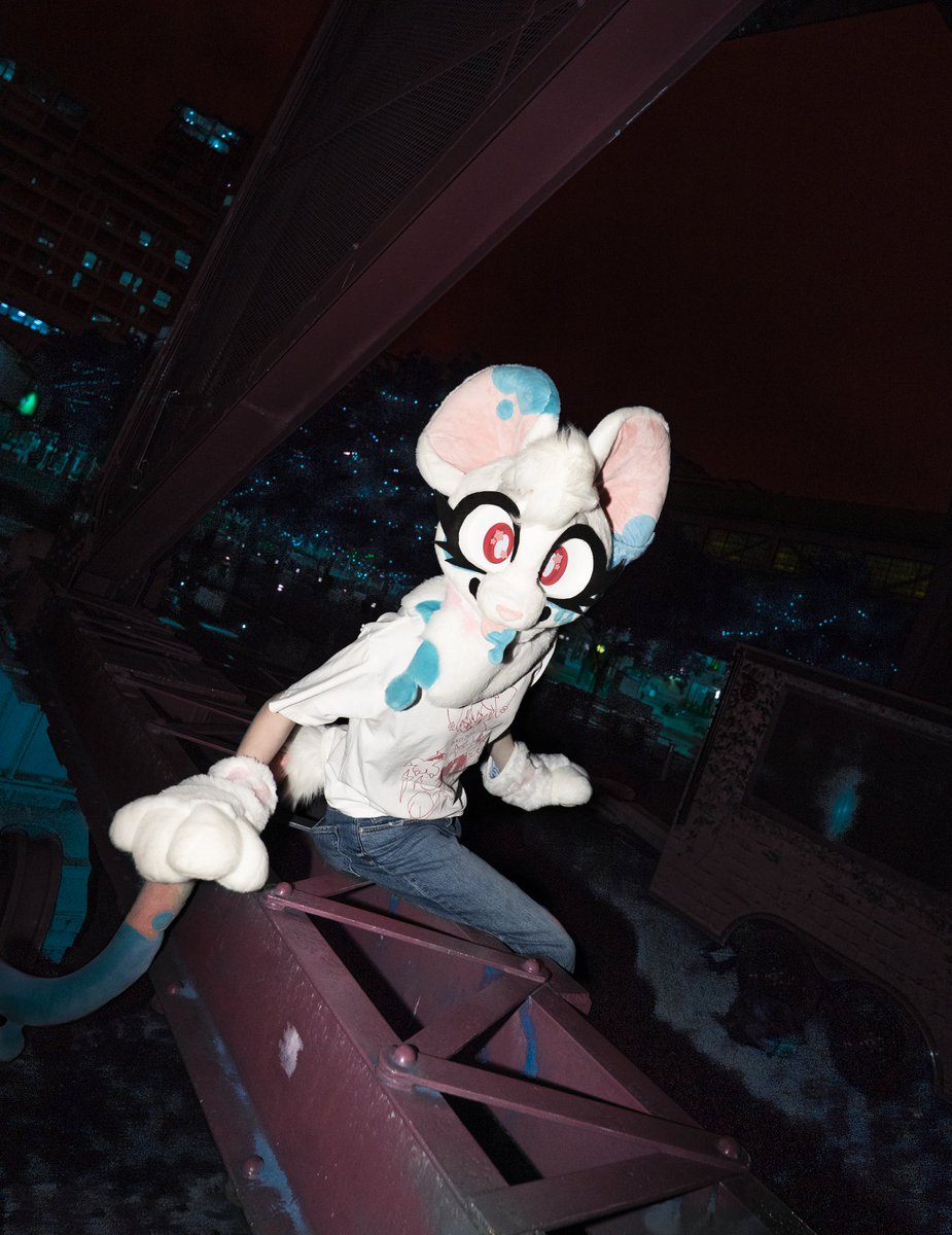 rat dork tweet media