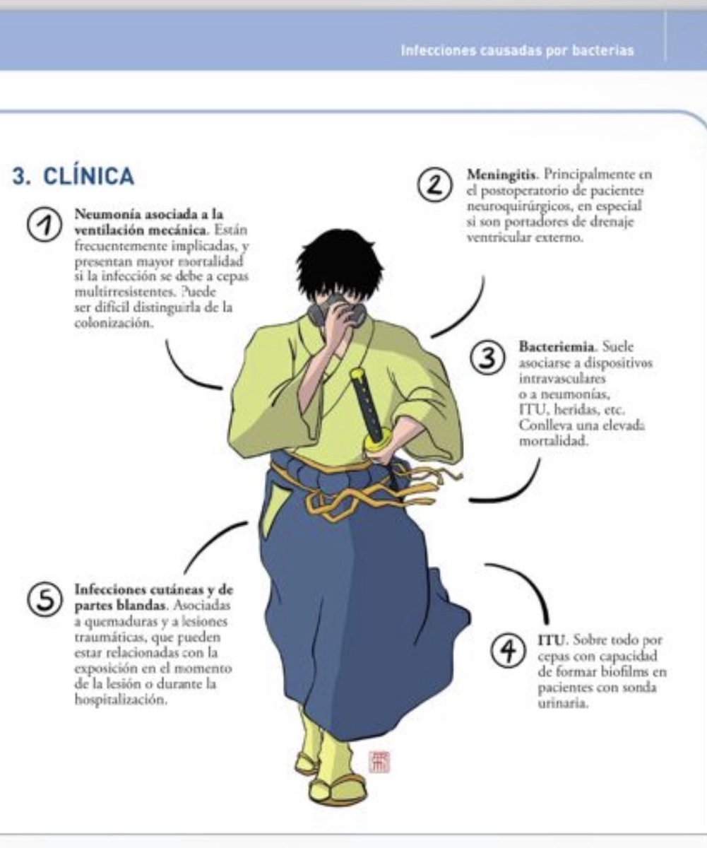 OrlandoRPN's tweet photo. Un libro de Infecto, Otaku… nomás faltaba eso…  así no anlo https://t.co/U21lA7pQHL
