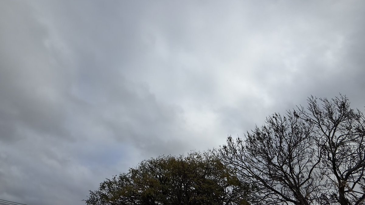 wapple15's tweet photo. Good morning #Canberra with 20 shades of grey & my #CoffeeView โ๏ธโ๏ธ https://t.co/aX9rfrHLGZ