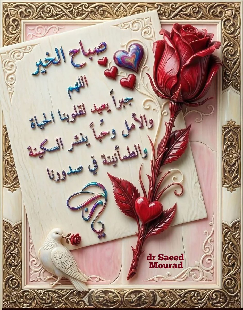 Dr:Saeed tweet media