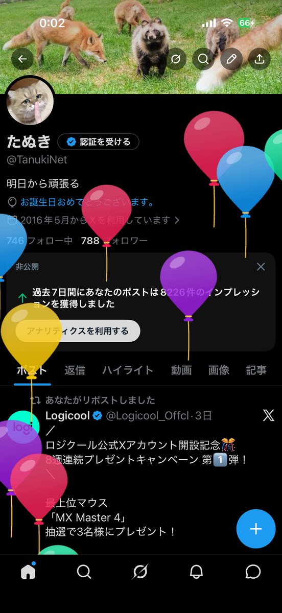 たぬき tweet media