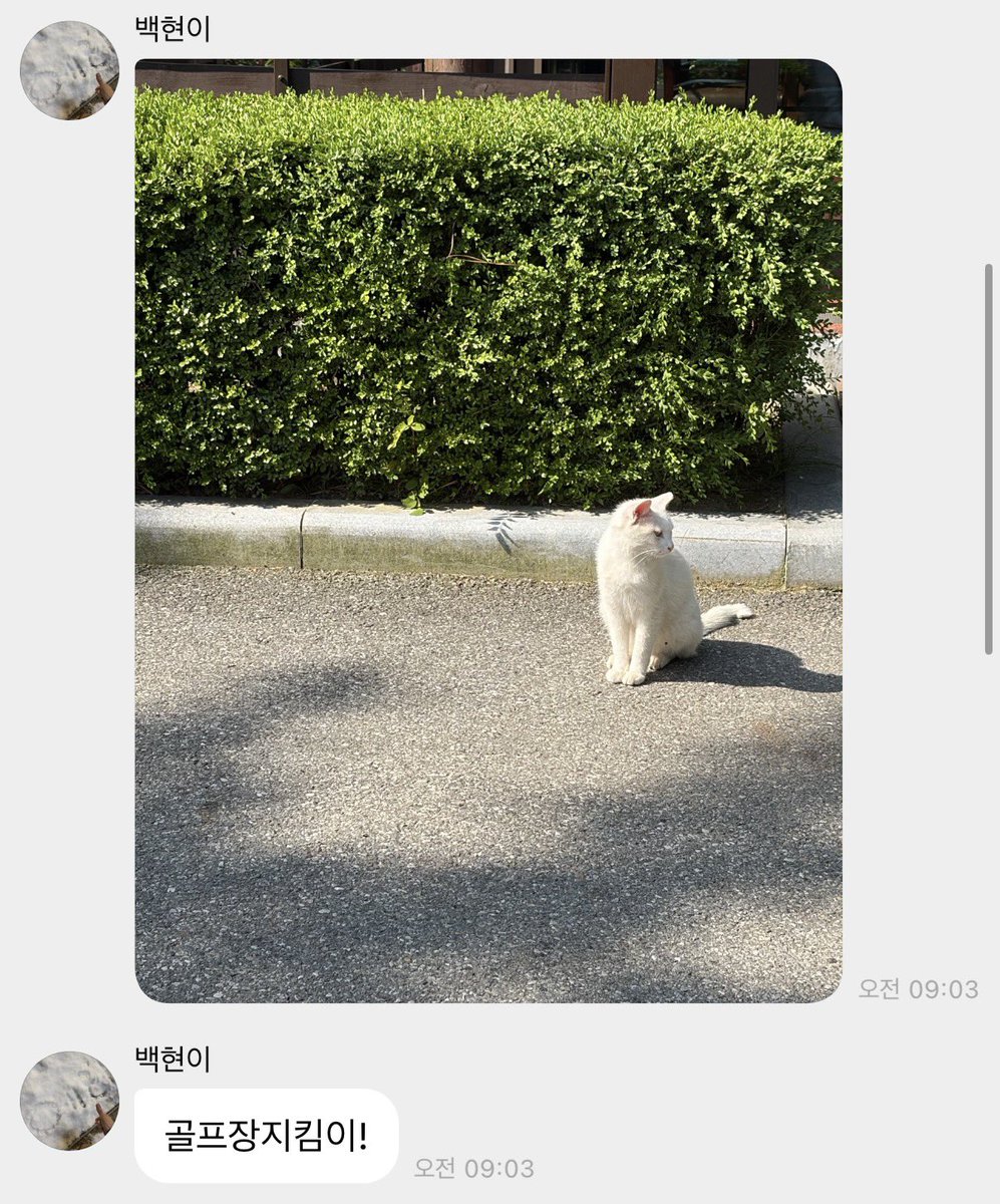 뭉 tweet media