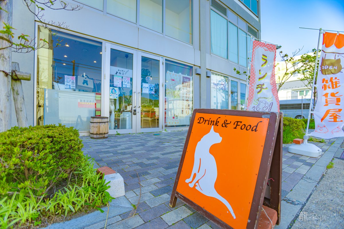 dragon0331's tweet photo. 宮城県石巻市【キッチンねこ】
猫グッズも多数取り扱っており店内は猫づくし🐈
今回注文したのは猫パンケーキ！
にゃんプリンも食べたかったけど意外とボリュームが🐱 https://t.co/kBfnGQPzaL
