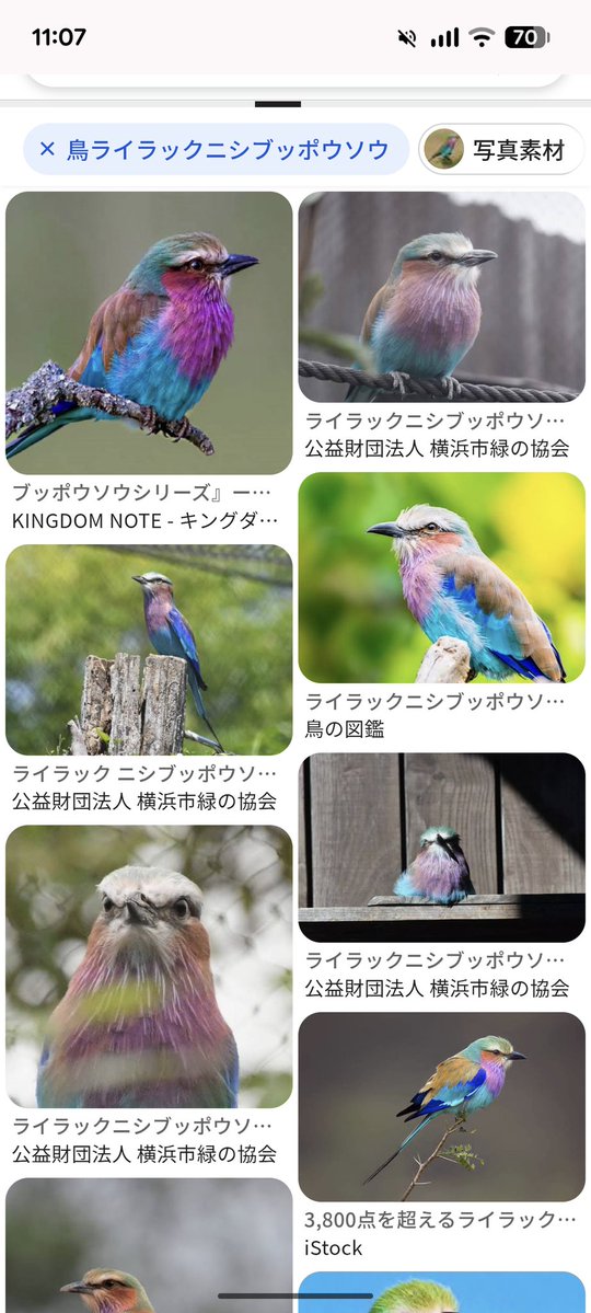 工藤🩲思い出せ、新幹線🚄 tweet media