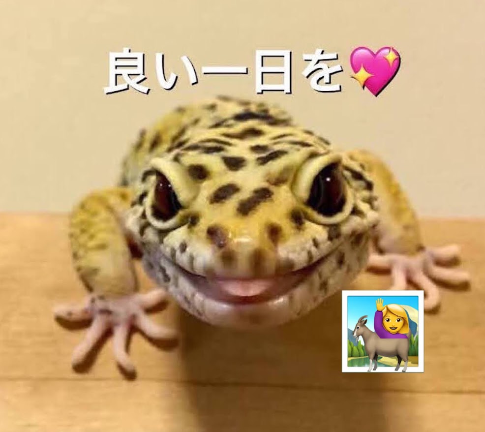 ヤンスー tweet media