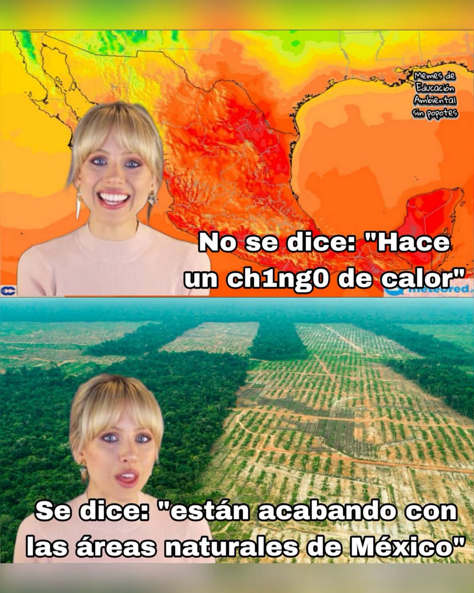 En Júpiter tweet media