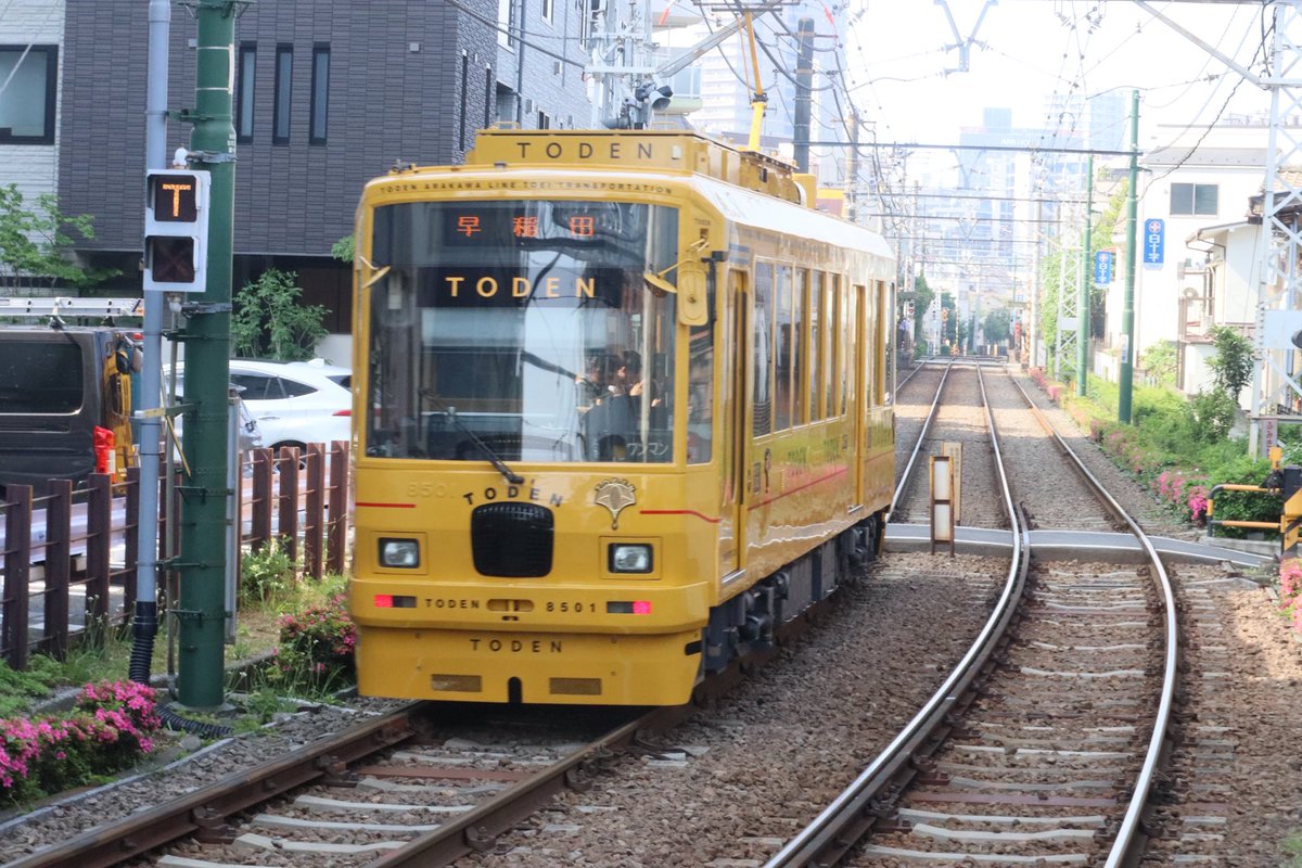 KYZ_train's tweet photo. 2026-05-16 ❷

普通早稲田行
都電8500形8501F(リニューアル車両)

撮影場所:新庚申塚 https://t.co/aavh7lFo9b