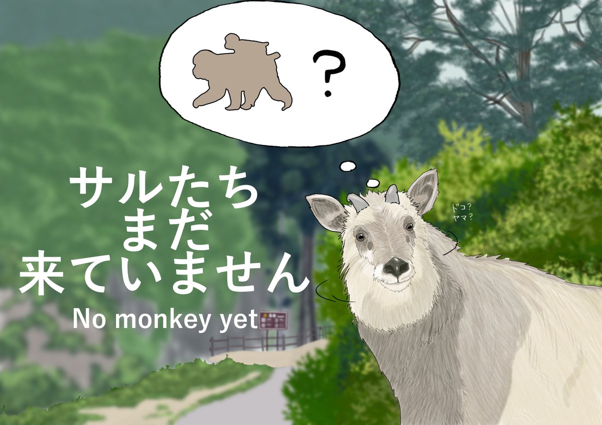 地獄谷野猿公苑【公式】 tweet media