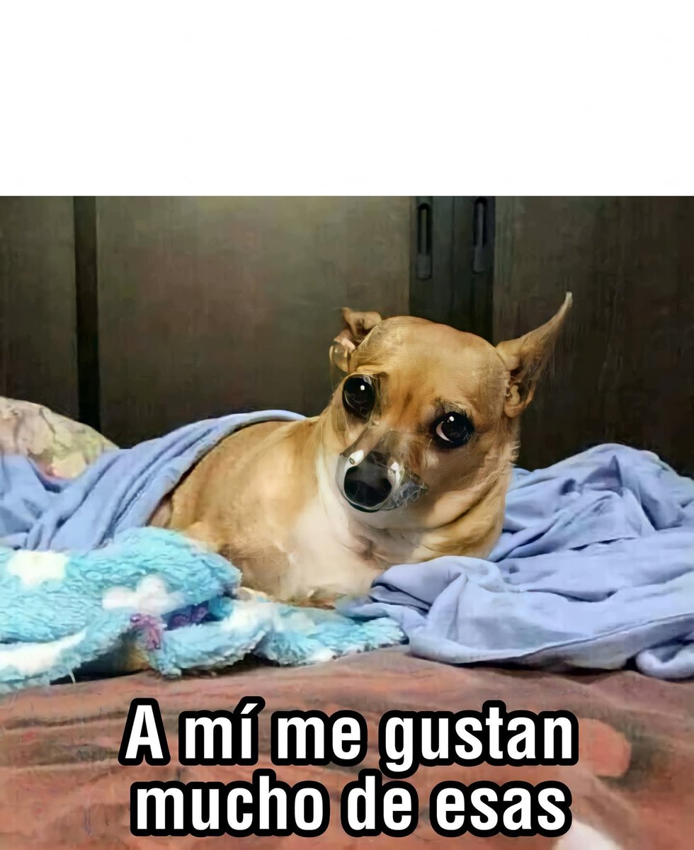 bryan_arrow's tweet photo. @ShiroganeAoi Alguien dijo... Tsunderes? DONDE?!!! https://t.co/hySqx3RlDj