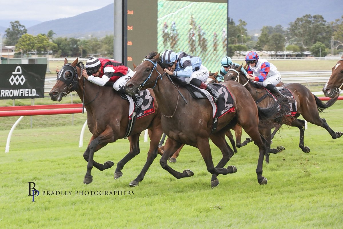 camcrockettrace's tweet photo. 🎪🏇Mare in perfect form targets home-track Saturday Sprint at the @sconeraceclub Carnival! 

🔹DUROVA🔹 〰️ 1100m BM78 -R6- 〰️

Fresh since completing the Muswellbrook Skellatar Sprint double in March, the progressive 4YO brings a remarkable record of 6 wins from 7 starts for the stable into today’s target assignment. 

Jockey @AshMorgan6 who knows her well sticks from barrier 5 as she looks to continue her rise against another competitive field.