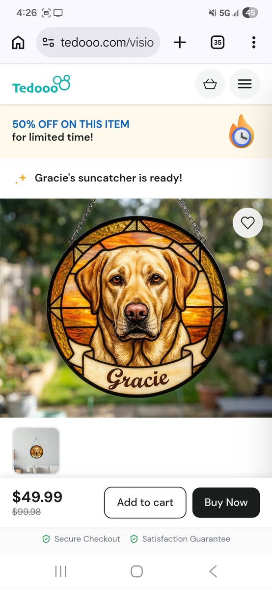 Gracie Jean🌈& Harley&Frankie tweet media