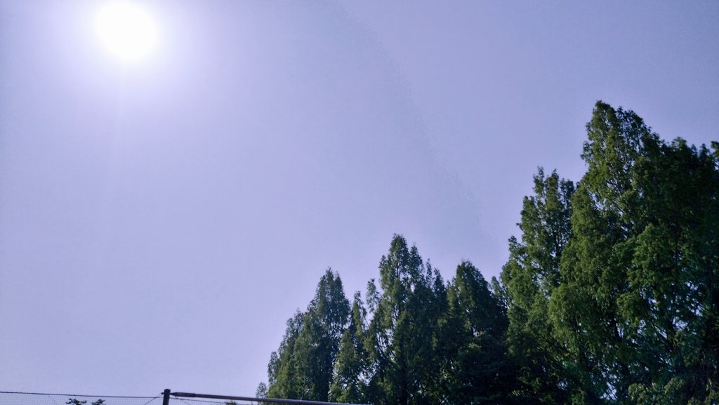｜･ω･`)小布施ハイウェイオアシス(非公式だけど公認) tweet media