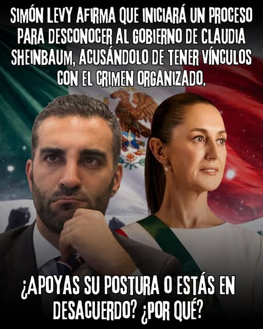 constanza luna tweet media